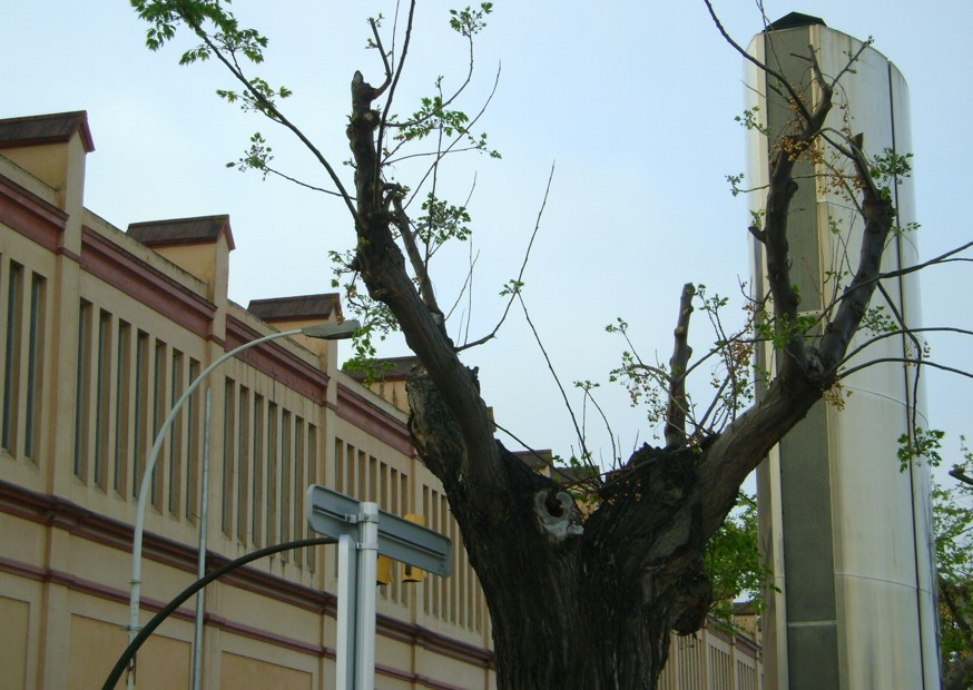 FOTO04